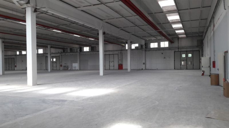 Locazione Capannone Industriale Lallio - Medianord s.r.l. - Vendita, Affitto Immobili